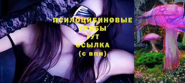 spice Снежинск
