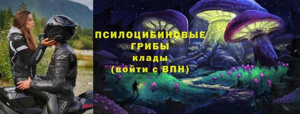 spice Снежинск