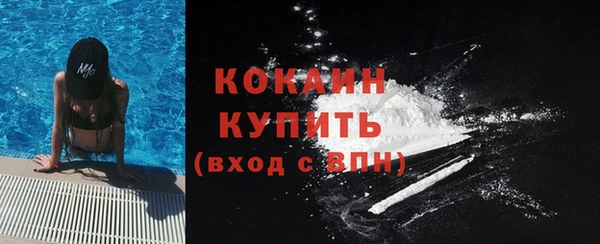 mdpv Снежногорск