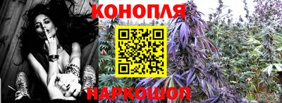 ПСИЛОЦИБИНОВЫЕ ГРИБЫ Краснодар