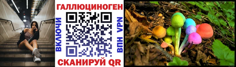 Псилоцибиновые грибы мицелий  Миасс 