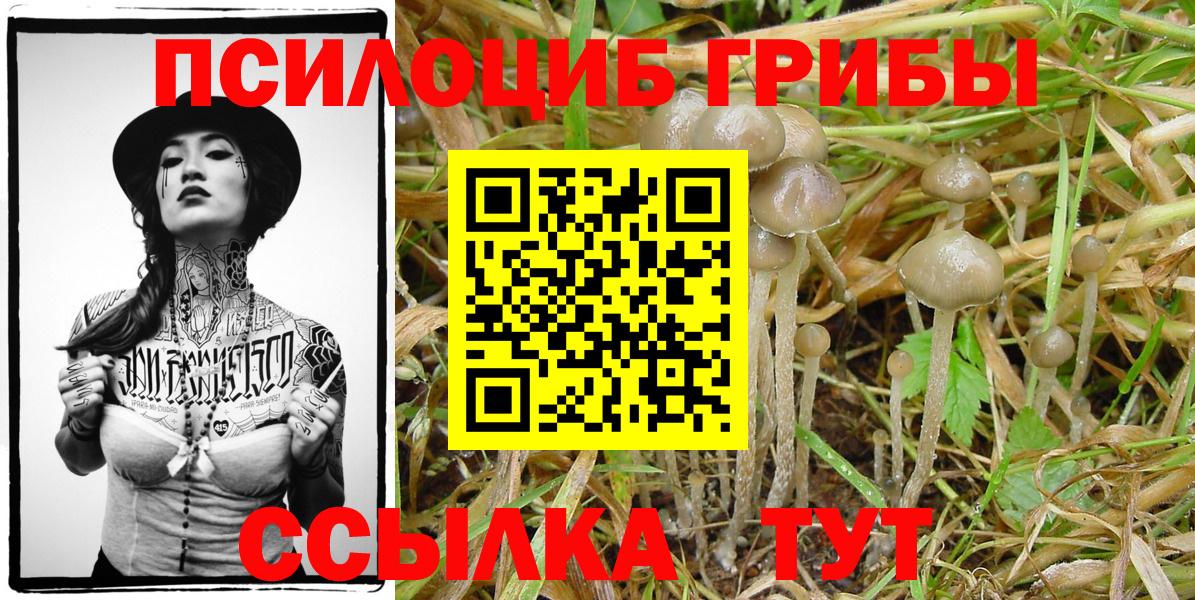 Бошки Шишки  Alpha PVP СК кристаллы  Меф кристаллы  Миасс  Вход с VPN  ГАШИШ 
